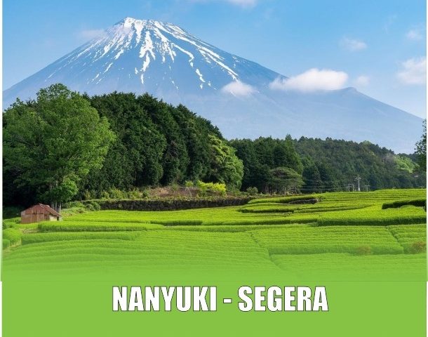 Affordable land for sale in Nanyuki