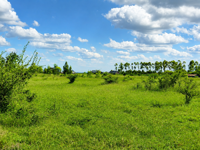 Juja plots