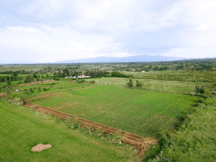 Rumuruti