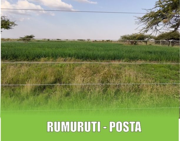 Rumuruti
