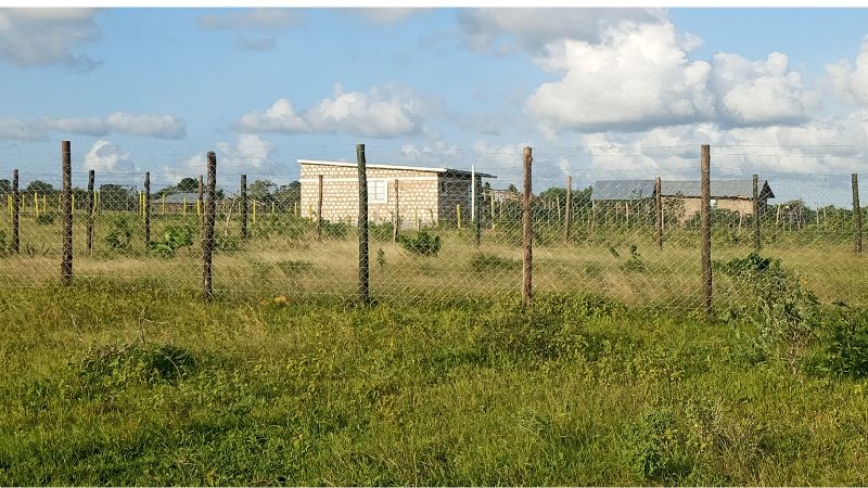 Affordable plots in Kkakoneni